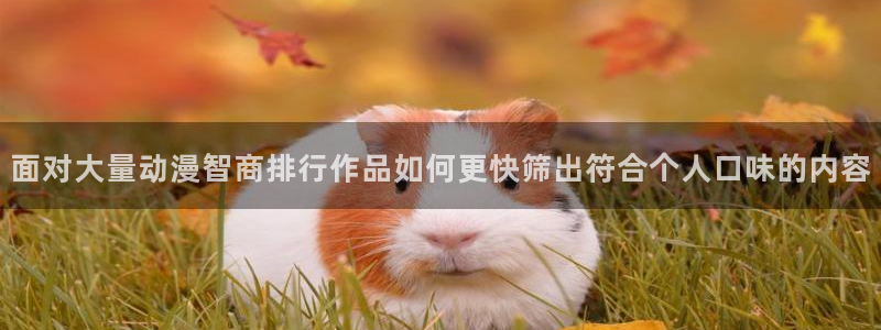 二次元动漫免费网站