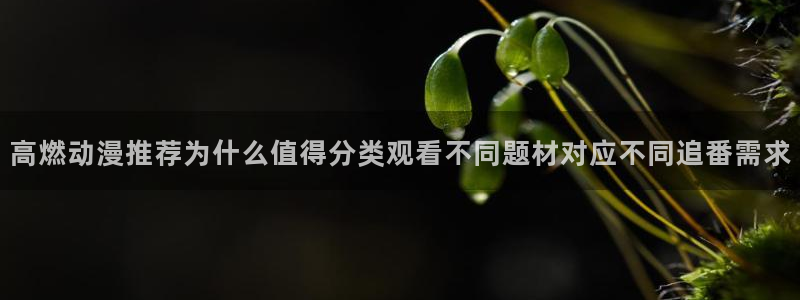 动漫overflow：高燃动漫推荐为什么值得分类观看不同题材对应不同追番需求