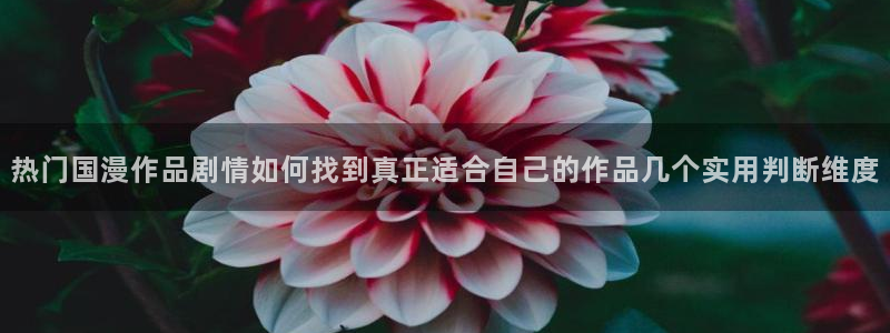 情头动漫黑白:热门国漫作品剧情如何找到真正适合自己的作品几个实用判断维度