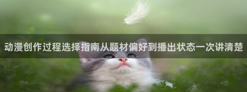 波兰球动画:动漫创作过程选择指南从题材偏好到播出状态一次讲清楚