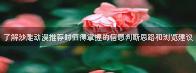 58动漫网:了解沙雕动漫推荐时值得掌握的信息判断思路和浏览建议