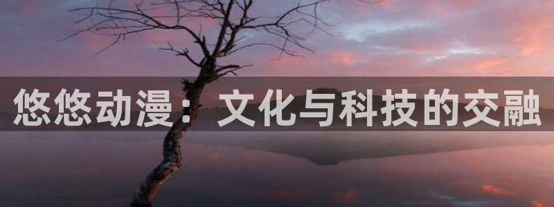 缘之空动漫在线观看完整版:悠悠动漫:文化与科技的交融